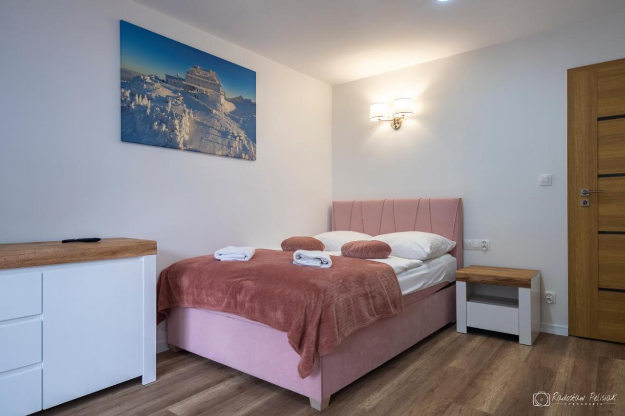 Willa Rosa-Apartamenty Z Prywatna Sauna Szklarska Poręba Buitenkant foto